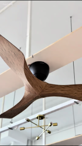 [Installation Available] ALPHA KOKO G2 HG 40"/56" DC Ceiling Fan