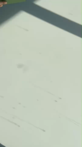 รองเท้าหนังแกะแท้ รองเท้าบัลเล่ต์ Juna M2328-2