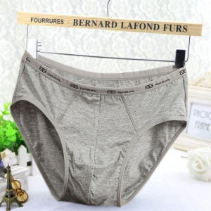 2-Pack Tailang Modal Cotton Mens Briefs Bamboo Fiber Plus Size Birth Year Red Pants Panties