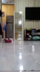 Pisau Pemotong Hewan Baja HSS Super Mengandung Magnet