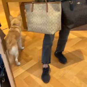 กระเป๋าถือสตรี ของแท้ 100% รุ่น F58292 กระเป๋าสะพายข้างผู้หญิง