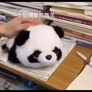 2 In 1 Red Panda Plush Doll 25cm 50cmPanda And Red Panda Combined With Dolls Soft Cuddle Doll Soft Pillow For Boys And Girls Birthday