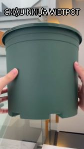 Chậu nhựa trồng cây VIETPOT màu xanh trơn trồng hoa kiểng để bàn ban công sân vườn