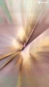 Bút Lông Bút mài Ánh Dương lông ngỗng màu vằn chuyên viết chữ đẹp