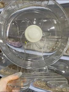 Silent Lion Zodiac Hamster Run Wheel 20cm/24cm Rolling Wheel Running Machine Sports Toys for Pets Small Animals