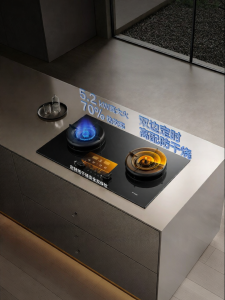Flame Failure Protection Dual Stove Gas Cooker