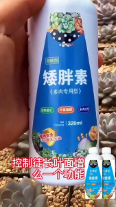 【COD】Dwarf fat element suitable for succulent flower plants to promote bud differentiation