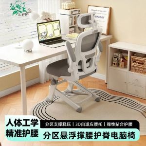 Home Use Computer Chair Ergonomic Backrest Adjustable Modern Style Comfortable Learning Chair for Students Not Tired after Long Time Sitting
