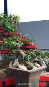 Máy Niệm Phật Mái Chùa Phát Kinh Ngoài Trời CHÂN THIỆN MỸ Dùng Năng Lượng Mặt Trời