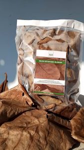 Daun Ketapang Kering Olahan Fermentasi 10 Gram untuk Ikan Cupang Channa dan Ikan Hias Lainnya (Raja Daun Store)