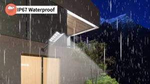 Solar Street Light: 2000W LED Solar Lights & Waterproof Solutions