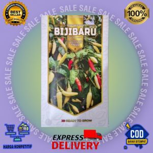 Cabe Rawit bijibaru Benih Cabai Rawit kemasan 10 gram