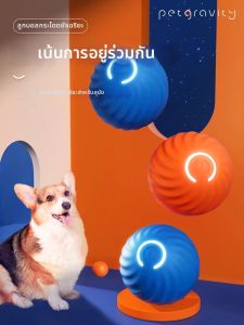 QIMIAOYINLI | Intelligent Automatic Fetch Jumping Ball Toy