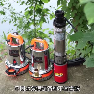 12V DC Submersible Household Electric Vehicle Stainless Steel Pump Deep Well Water Pump Irrigation