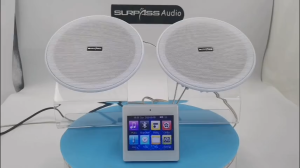 Intelligent background music system bluetooth-compatible4ch amplifier promac roof speakers wall-mounted amplifiers ceiling speakers