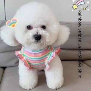 Petone dOrage | Lightweight Sun-Protective Pet Clothes Shedding-Resistant