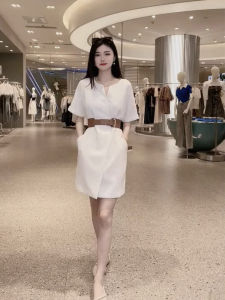 Elegant Fashionable New Summer Design Niche Straight V-neck Mid-length Dress