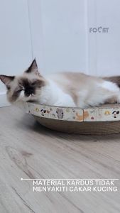 FOCAT Garukan Kucing Anjing Anabul Multifungsi M11/M14 Cat Scratcher Cakaran / Tempat Tidur Anabul