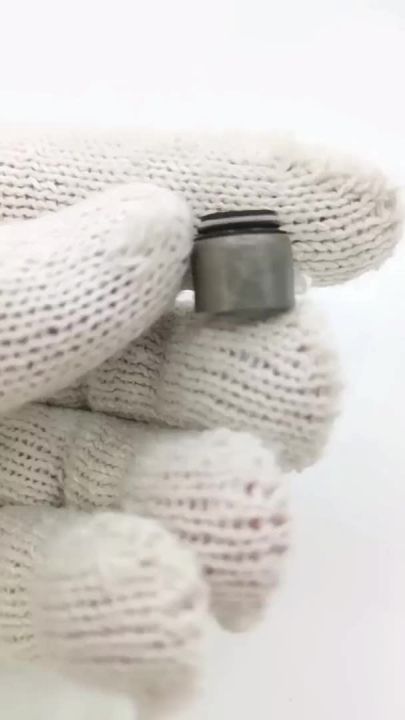 Replaces Valve Seal Compatible with Briggs & Stratton 690968 499236 494435 690235