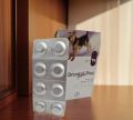 TERMURAH Obat Cacing Anjing Tablet Drontal Dog Plus Flavour| Harga per tablet. 