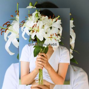 By salisa ดอกลิลลี่(จริง) ดอกลิลลี่สด ดอกลิลลี่จริง จำนวน 1 ช่อ มี 3 ดอก ดอกไม้แทนความรักอันบริสุทธิ์ มีให้เลือก 2 สี