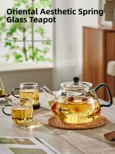HUALISHIJIA | Heat Resistant Tea Kettle with Infuser Large Capacity