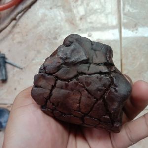 rought ati ayam antik