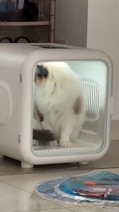 Fully automatic pet drying box pet hair dryer box ultra-quiet professional fast drying hair dryer