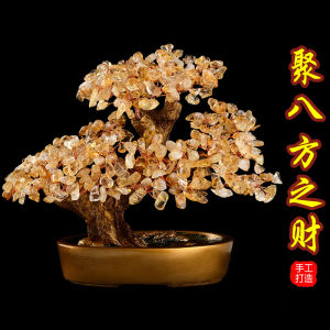 Citrine Pachira Macrocarpa Bring In Wealth and Treasure Decoration Office Moving into the New House Business Gathering Fortune Opening Natural Gift