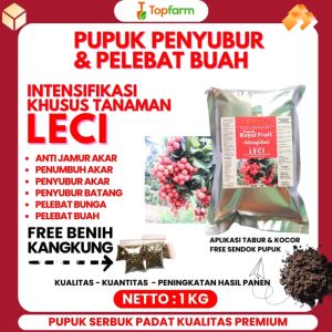 Pupuk Booster Buah Leci: Nutrisi Maksimal untuk Hasil Panen Luar Biasa