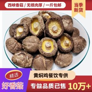 New Arrival Xian Dried Mushrooms 500g Thick Meaty Rootless Mini Mushrooms Bulk Winter Mushrooms from Henan Province