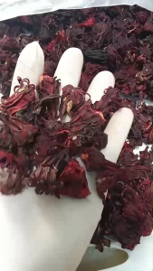 (100 กรัม) ดอกกระเจี๊ยบแห้งแท้ 100% ชากระเจี๊ยบแดง สมุนไพรลดความดัน ลดน้ำตาลในเลือด แพ็คใหญ่คัดเกรดดี