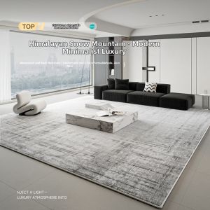 New Modern Simple Luxury Wash-resistant Waterproof Living Room Carpet