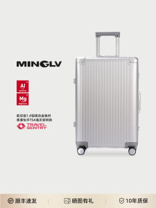 Business Travel Luggage Magnesium Alloy Carry-On Suitcase 20 Inch Mens All-Terrain Wheel Password Box Aluminum Magnesium Alloy Suitcase