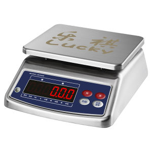 LEQI | Corrosion-Resistant Food Factory Chemical Weighing Stainless Steel Waterproof Electronic Scale