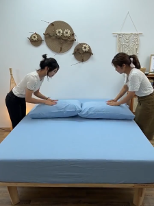 [ship in 24h]Fitted Bedsheet No Wrinkles Single/Queen/King Korean Plain Bedsheet With 2 Pillowcases
