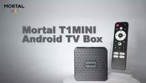 T1 MINI TV Box Android 14 RK3518 Quad Core Dual WiFi 2.4G/5G HD 8K 4K Media Player BT 5.0 Support Voice Remote Set Top Box