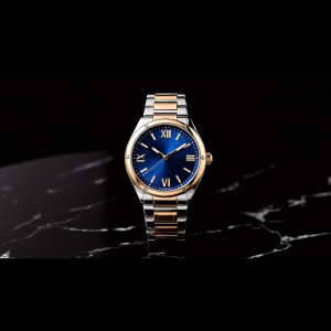Avon Dominic Two-Tone Watch