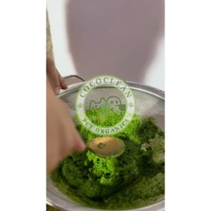 100% PURE MADRE DE CACAO SPRAY