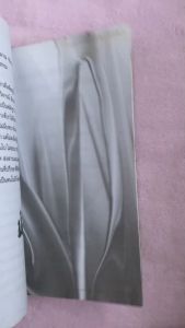 การเมืองเรื่องสามก๊ก / อ. ฐาปนีย์ อตีตา หนังสือมือสอง