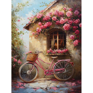DIY Oil Painting Kit Front Door Bicycle Scenery Paint by Numbers Canvas Artwork for Home Wall Decoration Gift Idea