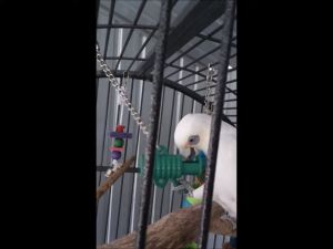 Natures Instincts Barrel of Fun