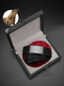 Pierre Cardin | High-Quality Leather Belt