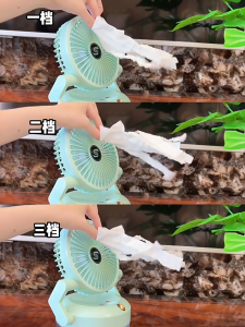 SG【ReadyStock】 Desktop Fan 180° Adjustable Flip Design 3 Speed Control Desktop Fan -20℃ Cooling Performance High Frequency Airflow Ambient Lighting Folding Auto Off