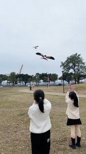Besar Satu Set Dengan 80cm Tongkat Joran Layang Layangan Pantai Animal Layang Kupu Layangan Anak