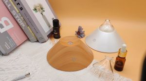 FLOWEROMA Mountain View Essential Oil Nebulizer Diffuser for  Aromatherapy Warm nightlight Intermittent Mist Frangance for Office Spa