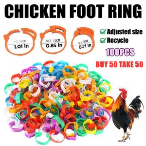 50/100Pcs Chicken leg ring Adjustable Leg band for gamefowl duck Colorful Numbered Chicken feet tag Aluminum Plastic Pigeon Ring Inner Diameter 8mm With Numbers Pigeon Racing Pigeon Leg Ring Bird Accessories Club Ring Rectangular