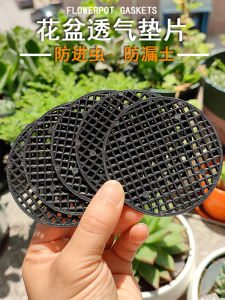 Flower Pot Bottom Hole Gauze Pad Orchid Drain Cover Succulent Pot Leak-Proof Soil Gauze Pad Pieces Plastic Bottom Net Breathable Leakage