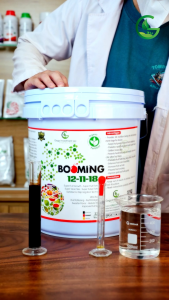 Phân Bón Nuôi Trái To Chắc Ruột Nặng Ký BOOMING 12-11-18 Chuyên Dùng Cho Cây Ăn Trái xô 22kg