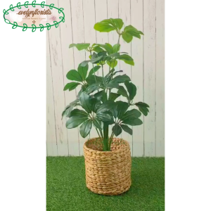 Tanaman Artificial Pohon Hias Daun Walisongo X12 Semi Latex Cover Eceng Gondok Large Pajangan Ruang Tamu Hiasan Rumah Aesthetic
